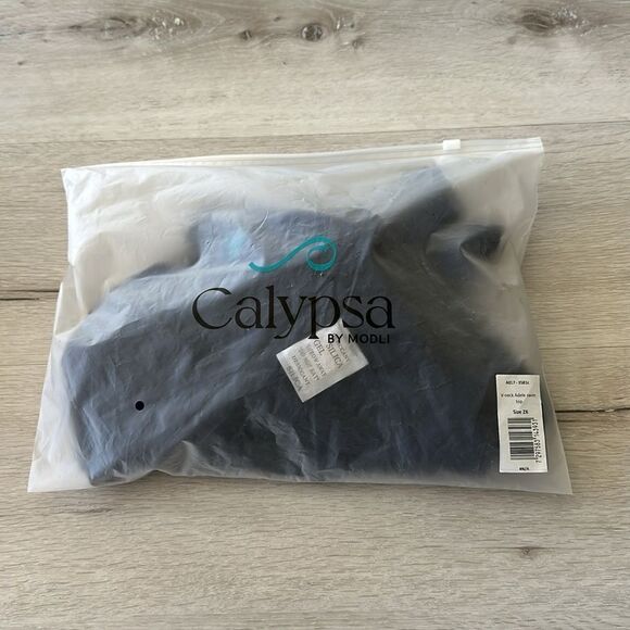 Calyspa V-neck Adele Swim Top Navy 2X NWT IN PACKAGE - Picture 4 of 10